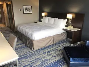 Delta Hotels by Marriott Detroit Metro Airport - Image 3
