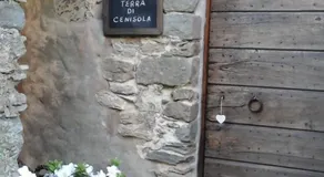 Terra di Cenisola - Image 2