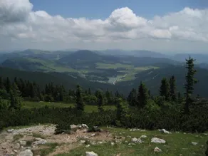 Biohof Schweiger - Image 4