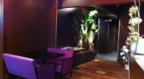 Comptoir des Latitudes - Hôtel du Centre - Image 3
