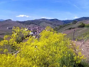 les lilas - Image 5