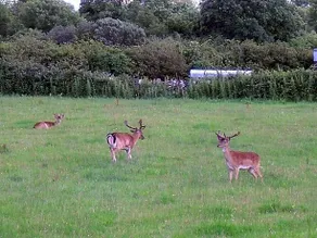 Devenish Lodge B&B - Image 5