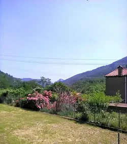 Il Martello - Image 4