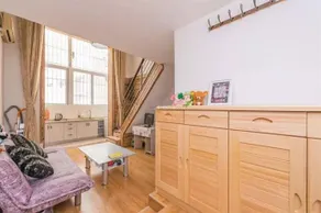 Cat's loft - Image 4