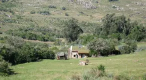 La Tahona - Image 5