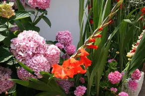 Acquamarina Bed & Breakfast - Image 3