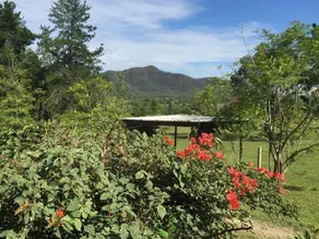 Hunterstay Holiday Accommodation - Image 5