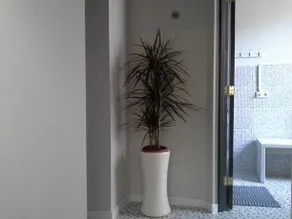 Nostalgia Rooms - Image 3