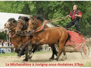 Haras De La Croix D'Argent - Image 4