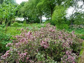 B&B 't Hekkert - Image 2