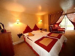 Logis Hotel Les Fleurs De Lees - Image 4