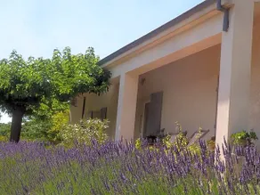 Une Ronce sous le Figuier - Image 3