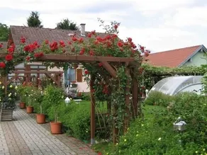 Haus Kristall Familie Gangl - Image 5