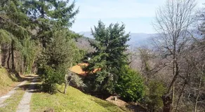 casa del bosco - civico 36 - Image 2