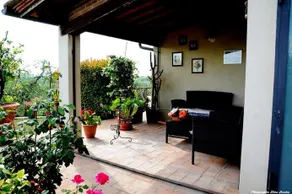Picchio Della Tinaia - Image 3