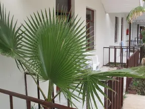 Dream Park Bungalow Otel - Image 3