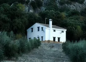 Cortijo Juan Peña - Image 2