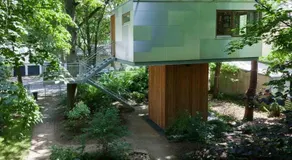 Urban Tree House - Image 4