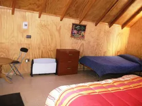 Dormis Del Bosque - Image 4