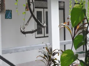 Vikum Lodge - Image 5