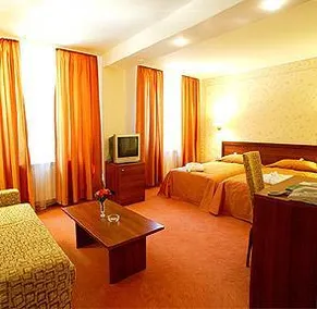 SPA Hotel Borova Gora - Image 5