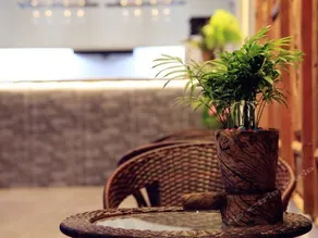 Homeland Dreamland Boutique Hostel - Image 3