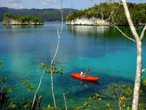 Doberai Private Island - Image 2