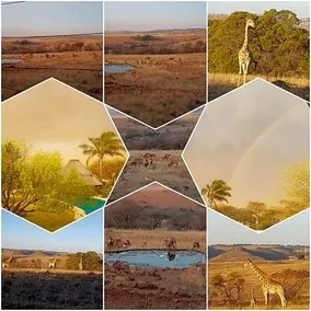 Rocky Aloe Lodge - Image 3