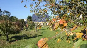 Traumhaus mit „Park“: Landidylle mitten im Zentrum - Image 2