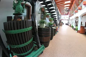 Hotel Vinarsky Dom - Image 4