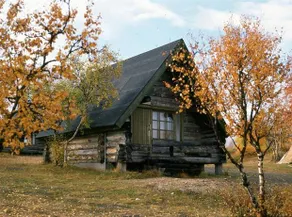 Galdotieva-Seo - Image 2