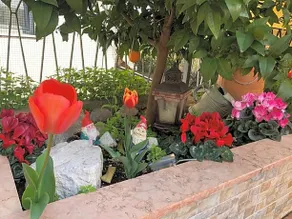 B&B Casa Leone - Image 2
