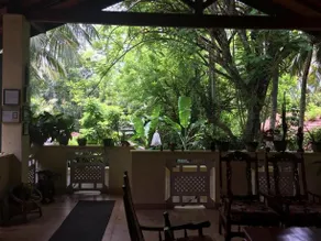 Palm Grove - Image 3