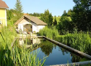 Bauernhof Weixlbaumer - Image 4