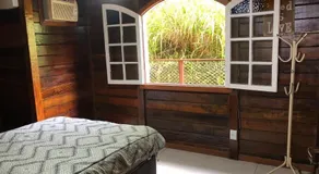 Floresta Tropical - Image 5