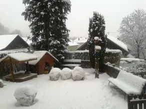 Pension Sonnenheim Rooms&Apartments - Image 2