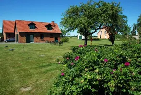 Ruegener Ferienhaeuser Mit Kamin - Image 3