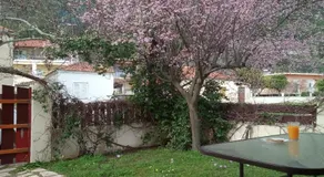 Villa The Platanus Tree - Image 2