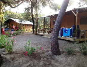 International Camping Village Etruria - Image 5