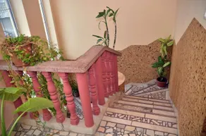 Pensiunea La Palaguta - Image 2