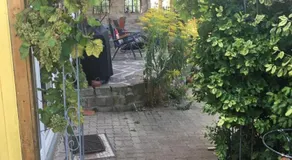 Ferienhaus am Hexenstieg - Image 3