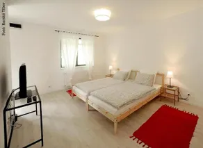 Diofa Vendeghaz - Image 3