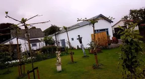 De Rijnban - Image 5