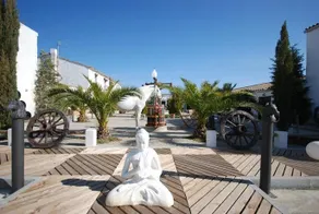 Cal Tofol - Image 5