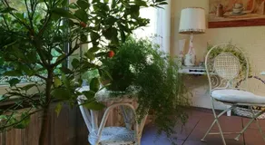 Tara´s B&B Ferienwohnung - Image 3