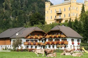 Bauernhof Schlossmayrhof - Image 4