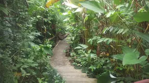 Krabi Romantic Home - Image 4
