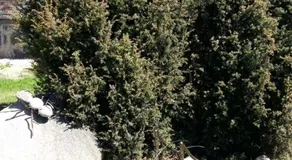 Holiday Home Ermine - Image 2