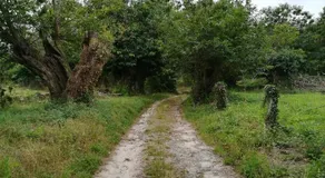 Casa dos Mestres - Image 2