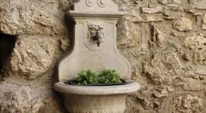 Aiva Forta - Image 3